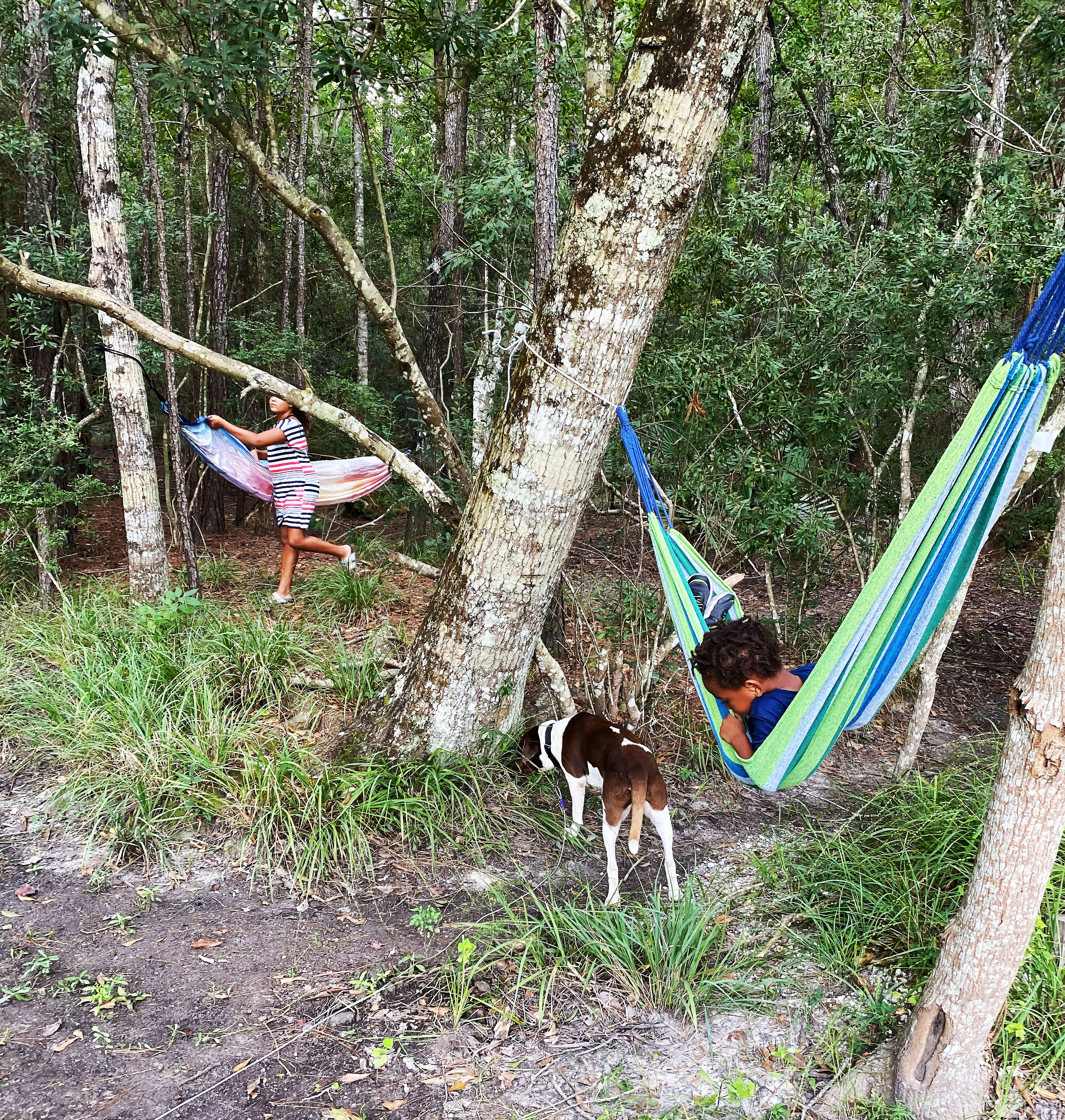 hammocks zee jj dash 13.jpg